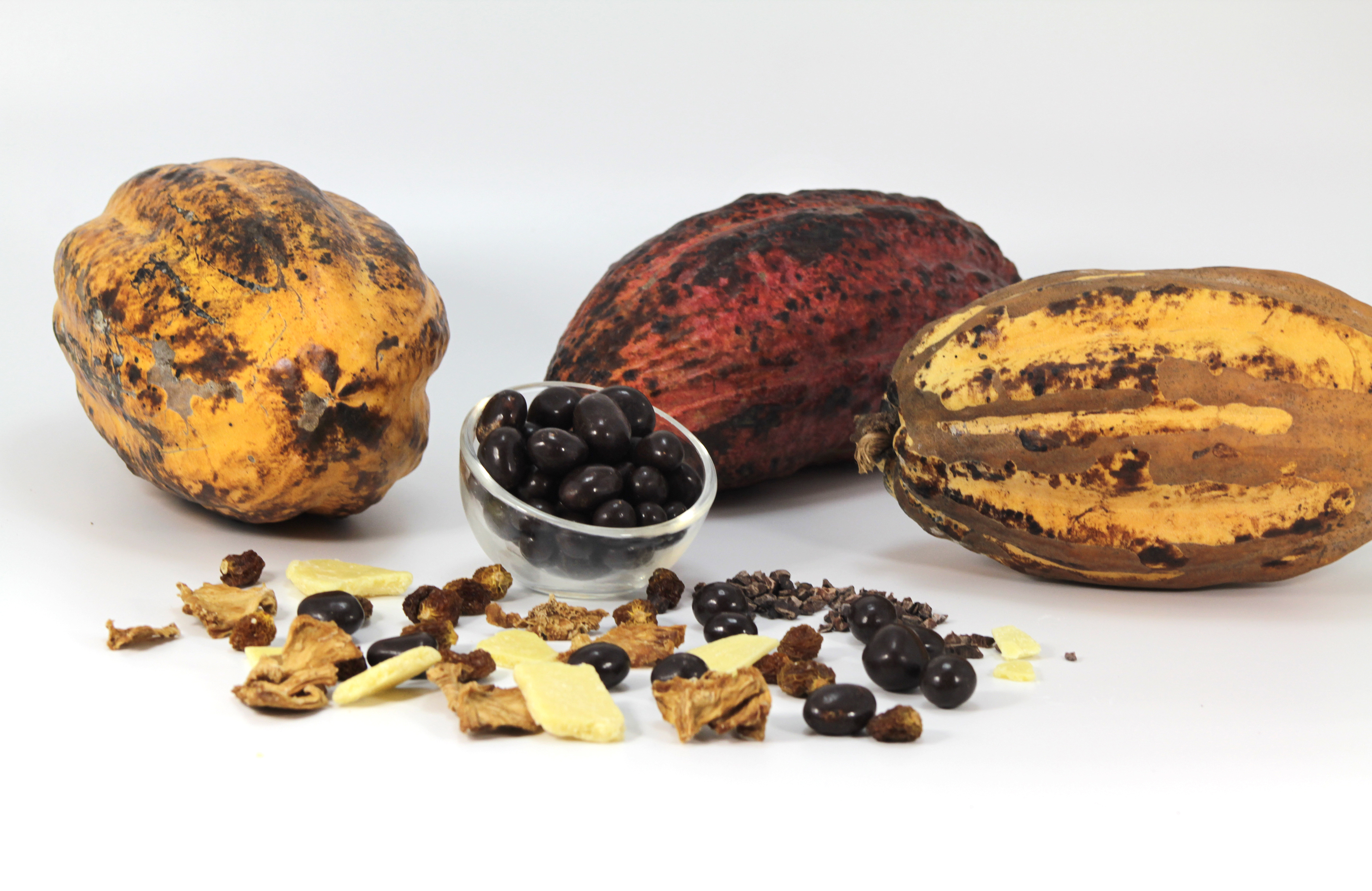 Cacao Ecuatoriano y sus derivados